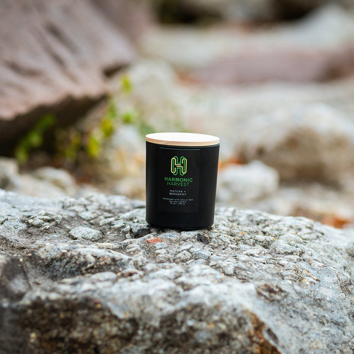 12 oz C.B. Apothecary x HH Candles