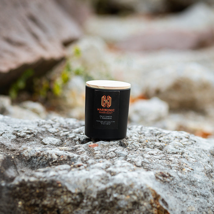 12 oz C.B. Apothecary x HH Candles