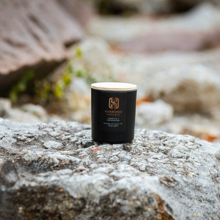 12 oz C.B. Apothecary x HH Candles