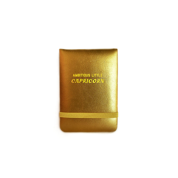 Ambitious Little Capricorn - Mini Journal