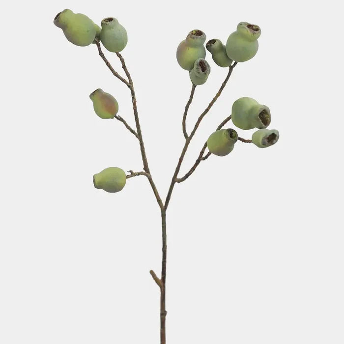 Artificial Eucalyptus Pods 24.5" - Magnolia Lane co. Home + Garden + Gift