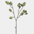 Artificial Eucalyptus Pods 24.5" - Magnolia Lane co. Home + Garden + Gift