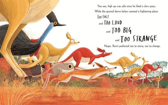 Book - The Koala Who Could
