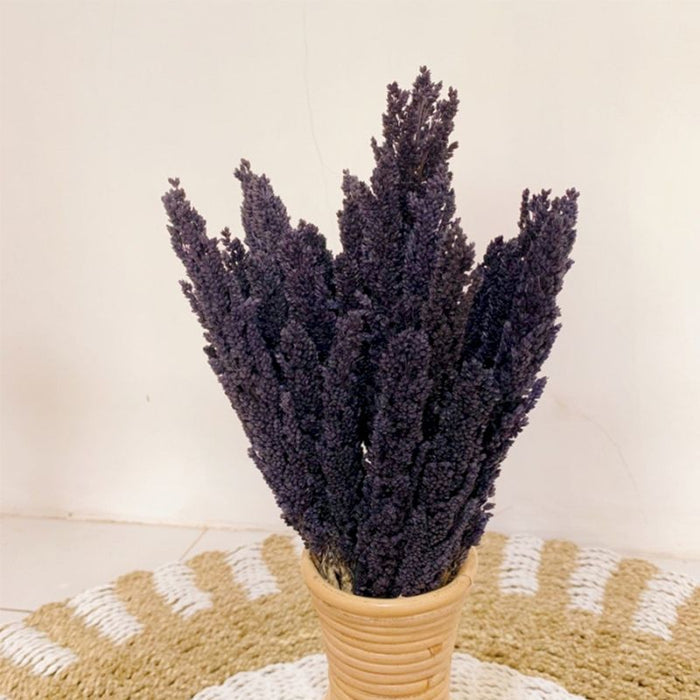 Cantal Dried Grass Flowers Display Decor 6 Bunch Black