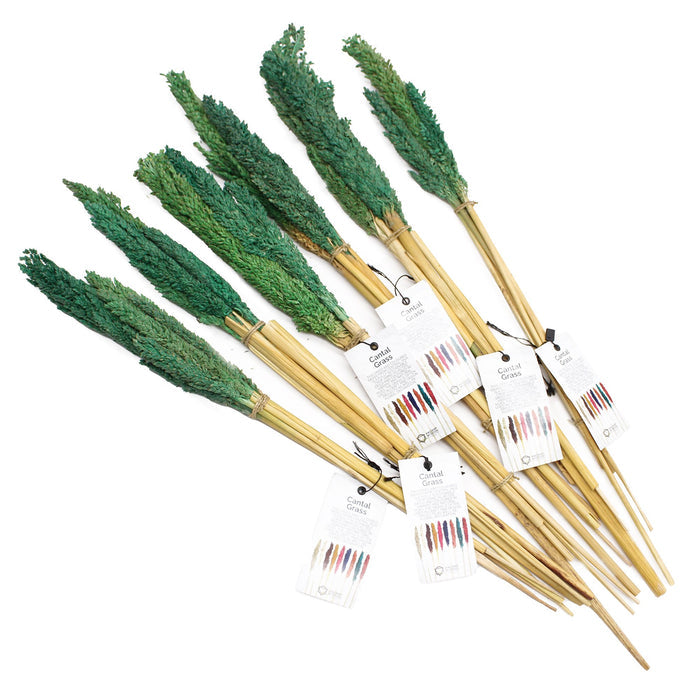 Cantal Dried Grass Flowers Display Decor Teal Cantal Dried Grass Flowers Display Decor