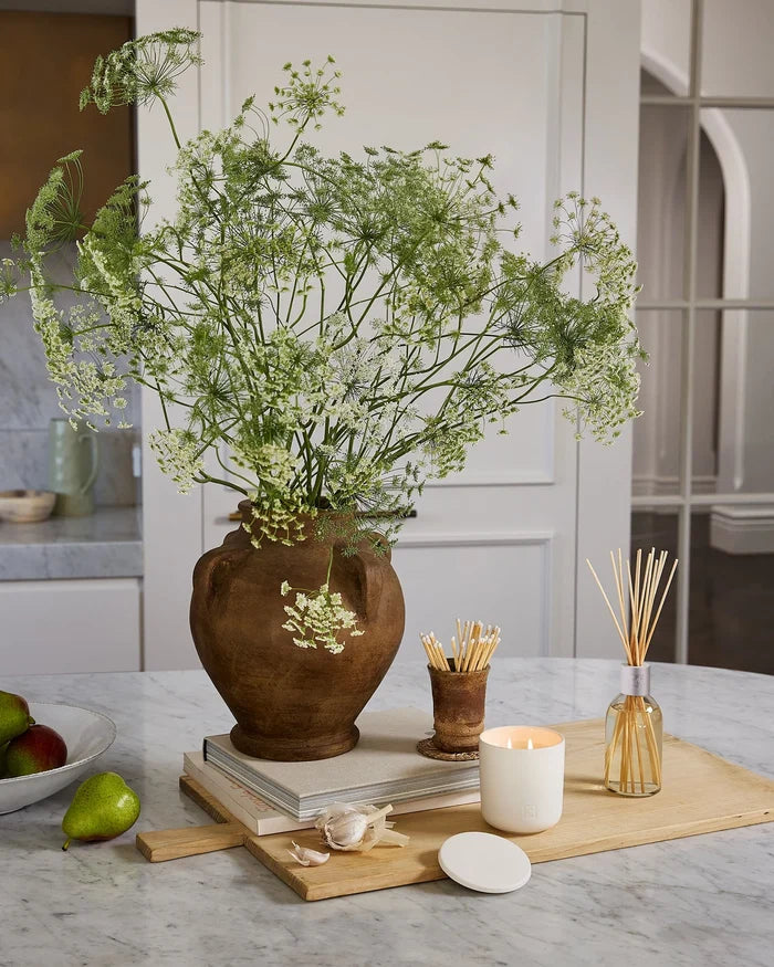 CIRCA diffuser Circa Diffuser White Tea and Wild Mint 250ml