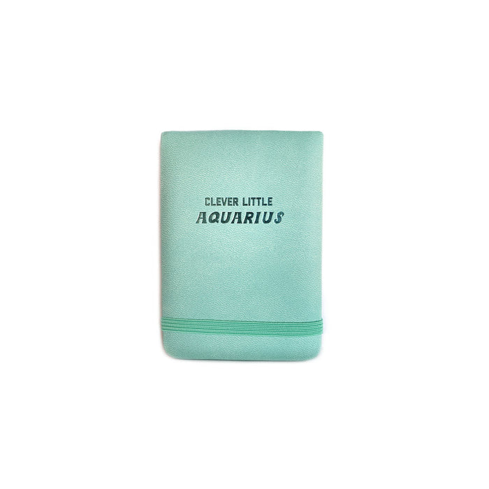 Clever Little Aquarius - Mini Journal