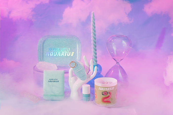 Clever Little Aquarius - Mini Journal
