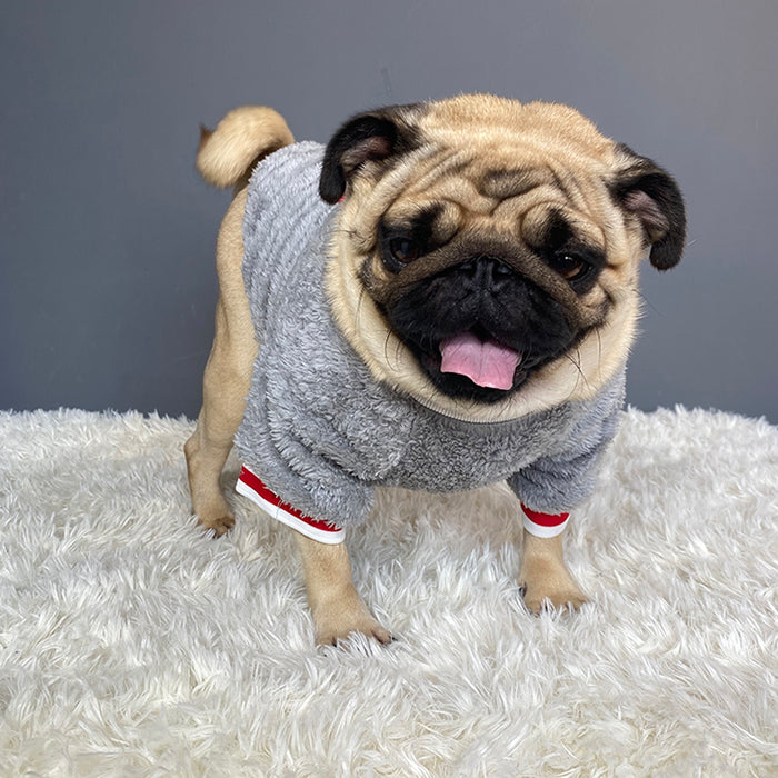 Comfortable Pet sweater