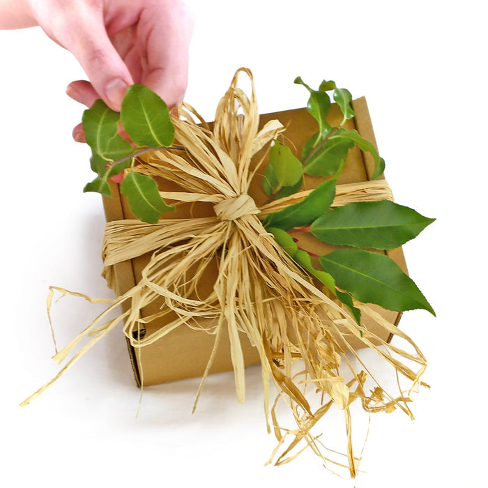 plastic free and ethical gift wrapping and packaing