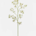 Dancing Oncidium Orchid 46.5" - Magnolia Lane co. Home + Garden + Gift
