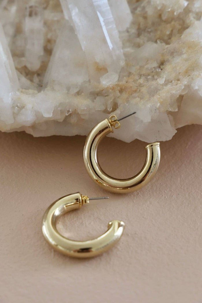 E1760G Gold Earrings-Icon Hoop