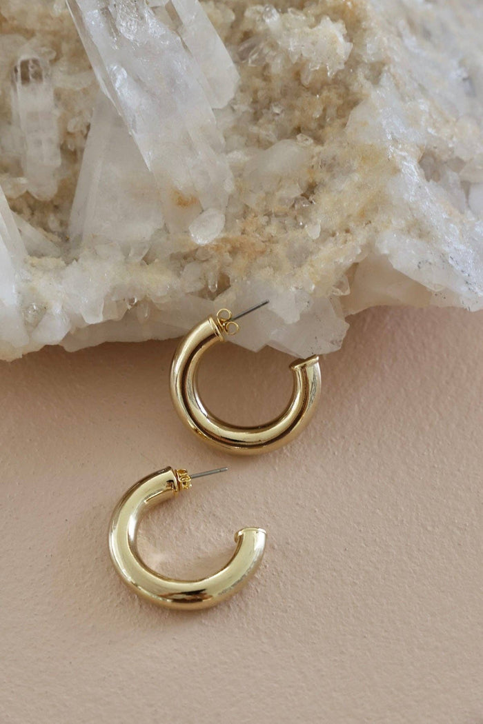 E1760G Gold Earrings-Icon Hoop