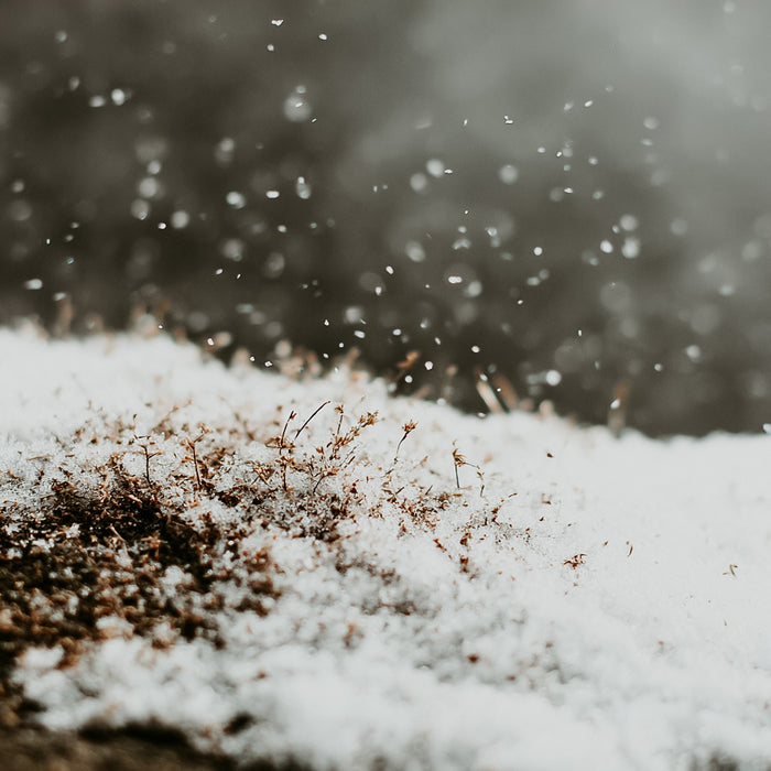 Fallen Snow | Fragrance Oil