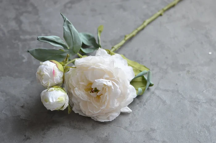 Faux Dried Fall Peony - Magnolia Lane co. Home + Garden + Gift