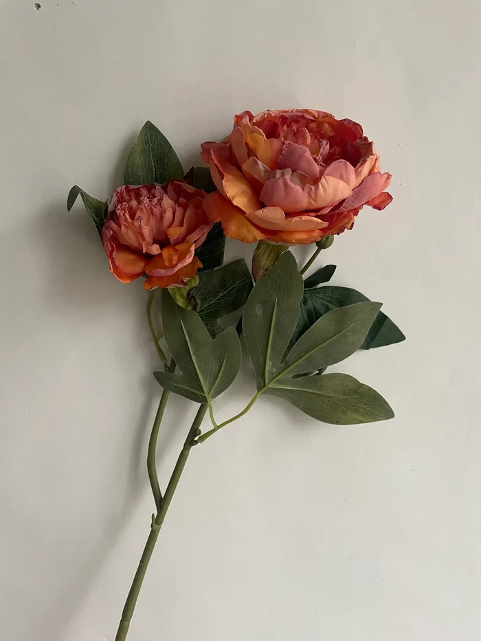 Faux Dried Fall Peony - Magnolia Lane co. Home + Garden + Gift