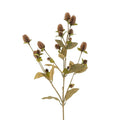 Globe Amaranth Spray - Magnolia Lane co. Home + Garden + Gift