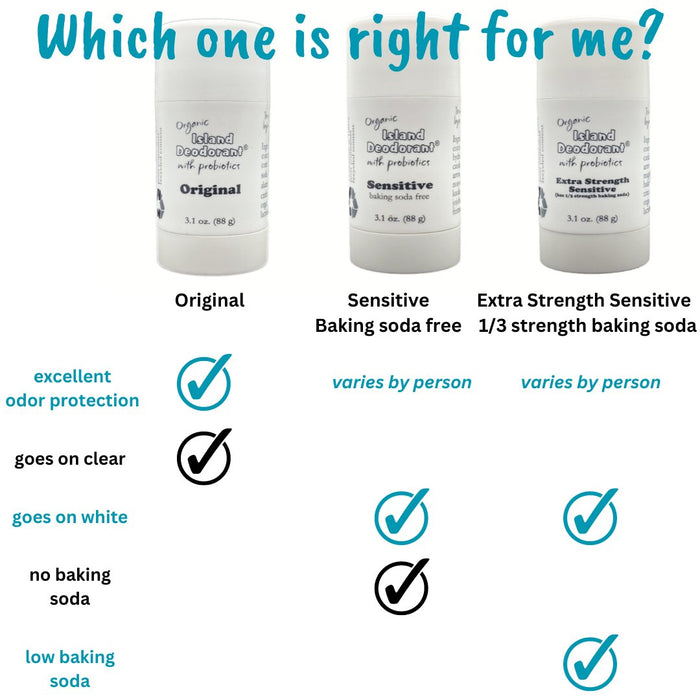 Mix and Match Compostable Containers Multi Pack 6 packs
