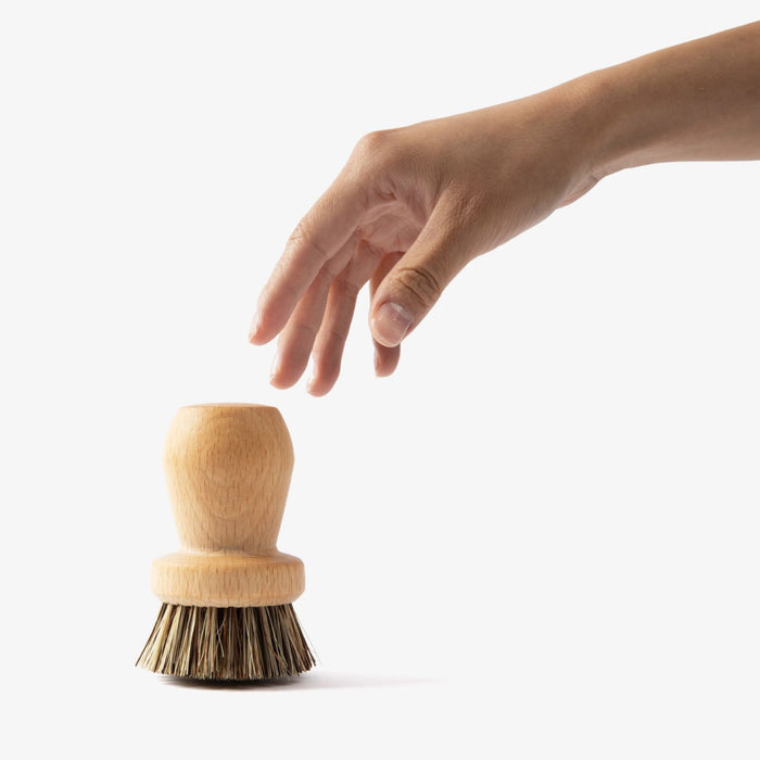 Person's hand reaching for the Field Natural Fiber Cleaning Brush, which stands upright on its stiff bristles