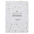 Notebook Set 3pc Amazing Teacher