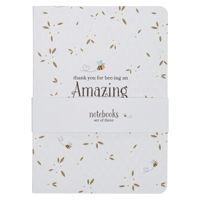Notebook Set 3pc Amazing Teacher
