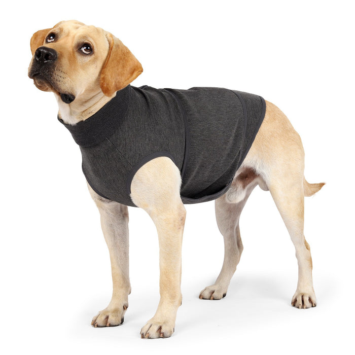 Pet Polyester Cotton Double Jacket Clothes