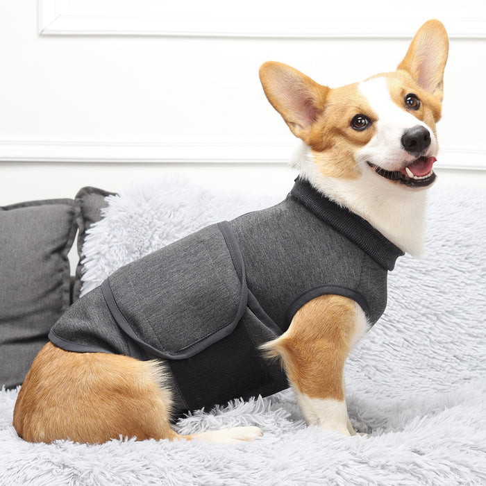 Pet Polyester Cotton Double Jacket Clothes