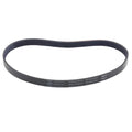 Riccar Poly V Belt for Radiance and Brilliance Part PVB9