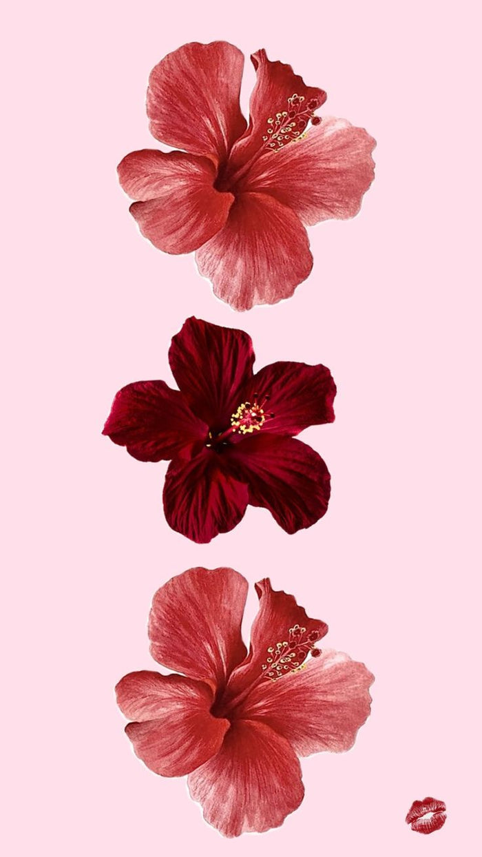 Scarlet Body Oil