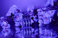 Three perfume samples with labels on a reflective surface with flowers in the background