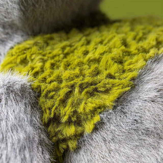 Teddy - Rockleton - Outfit Detail