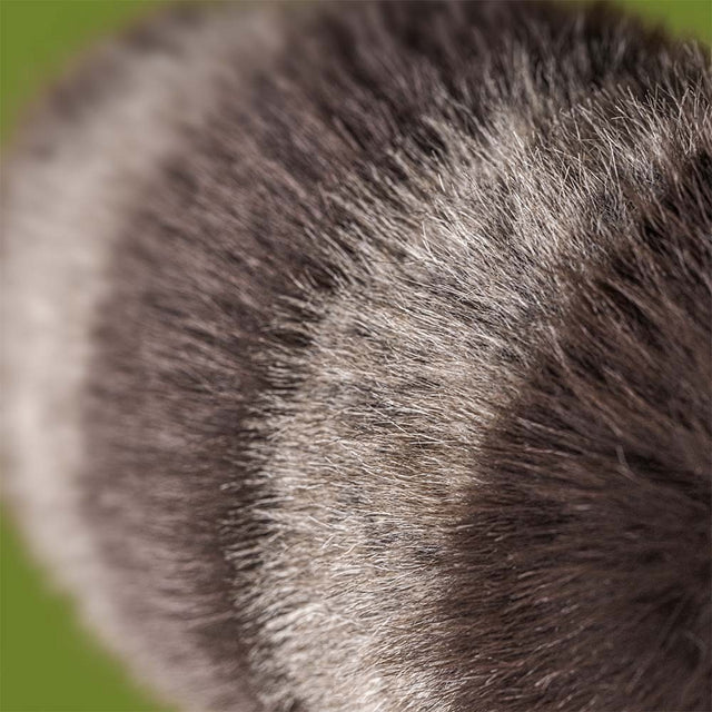 Teddy - Trixiwoo Raccoon - Lifestyle Cut
