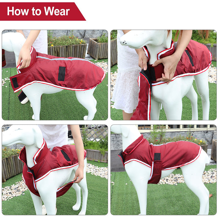 Winter Warm Pet Leisure Waterproof Jacket