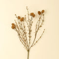 Wispy Twig Spray - Magnolia Lane co. Home + Garden + Gift